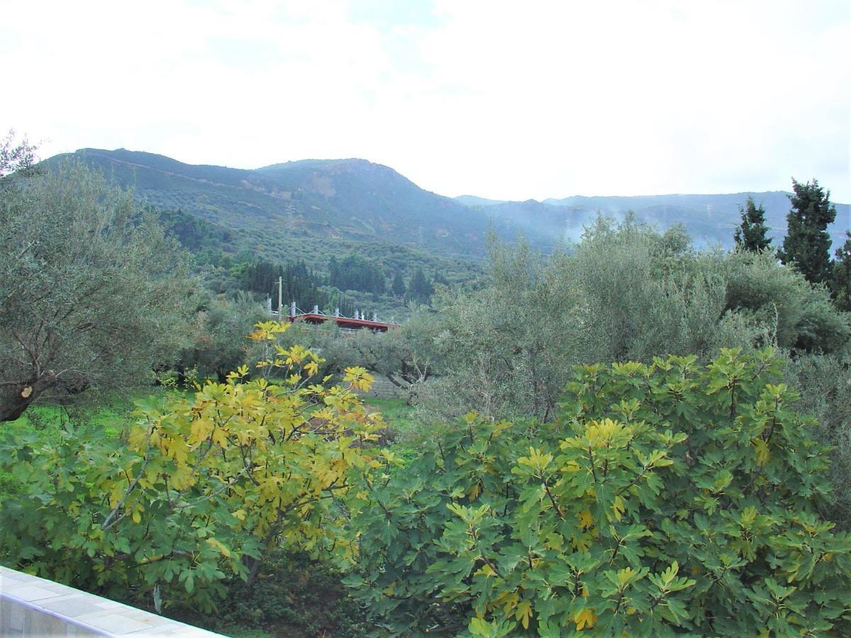 Galini Studios Paralia Platanou Akrata Bagian luar foto